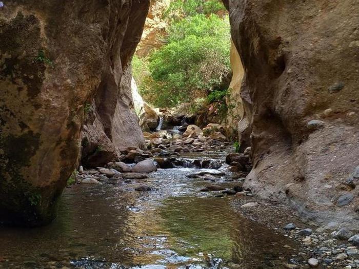 Albergue La Paz De Las Alpujarras Padules Eksteriør billede